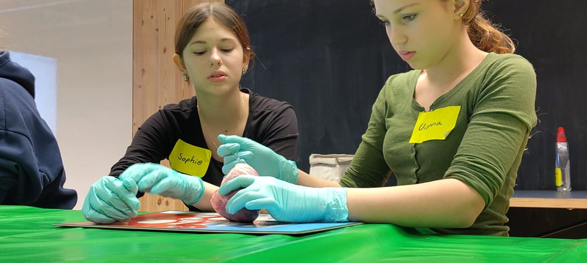 WhatsApp Image 2026-01-28 at 11.44.32 (2)